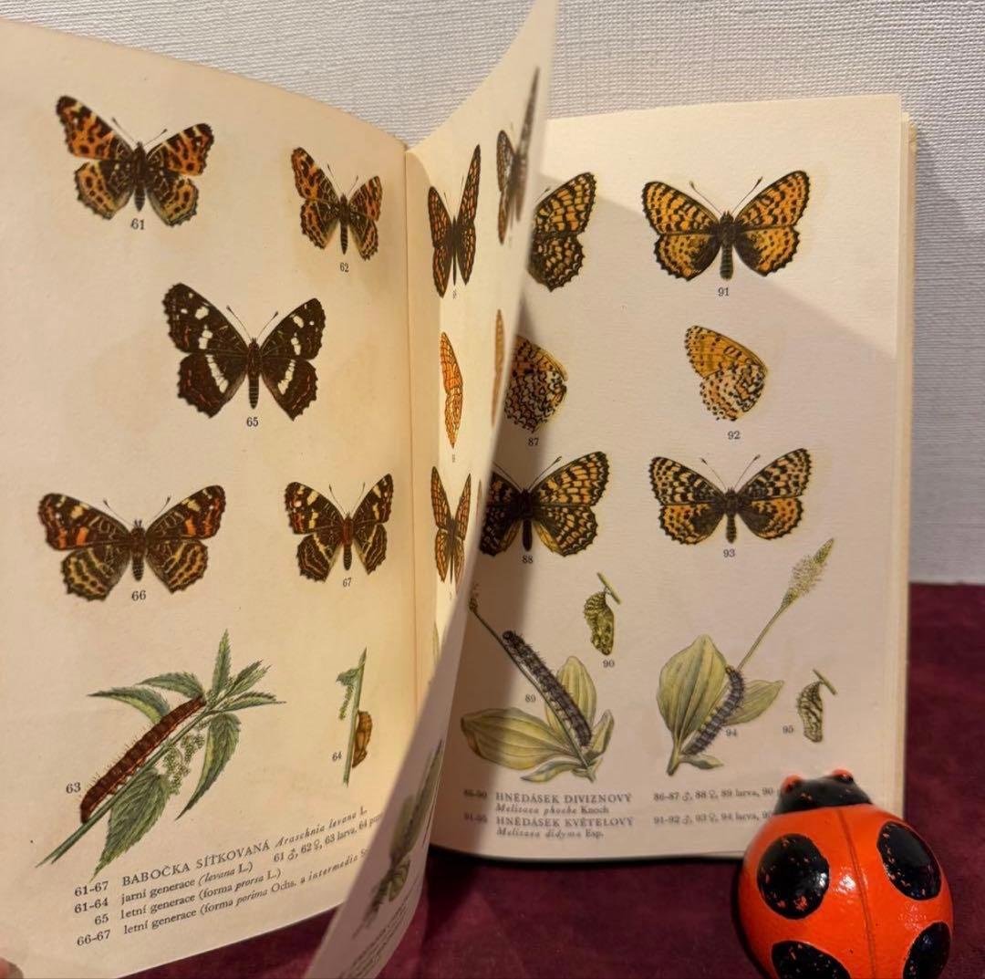 129②チェコ蝶々図鑑　2冊セット　洋書古書　ジャンクジャーナル　ボタンニカル