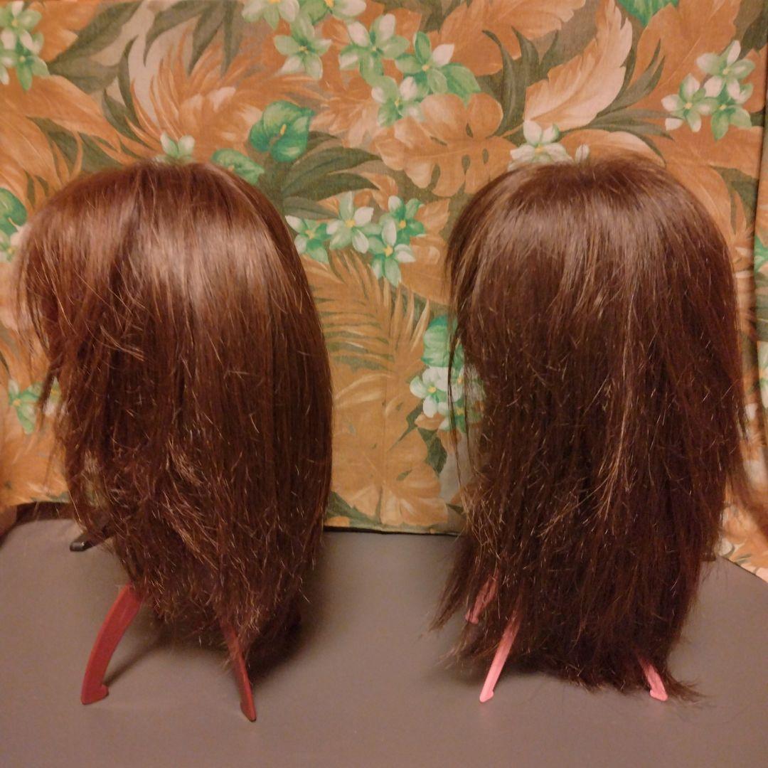 ウィッグ2台　スプレー＆ブラシ＆ネット＆スタンドピンクorブラウンのおまけ付き