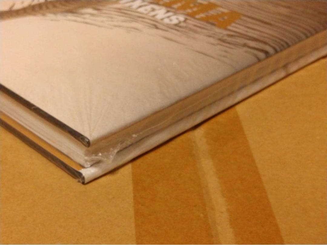 【新品】空山基 Vibrant Vixens Sorayama