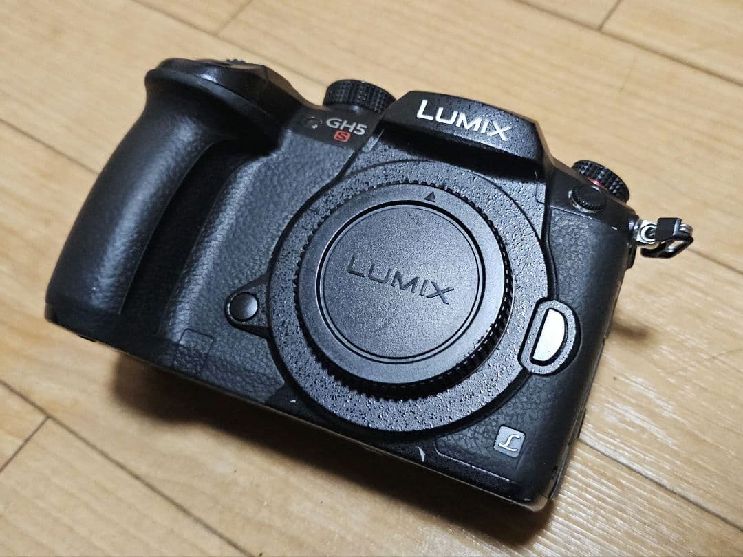 でぃど　LUMIX DC-GH5S 一眼レフカメラ ブラック