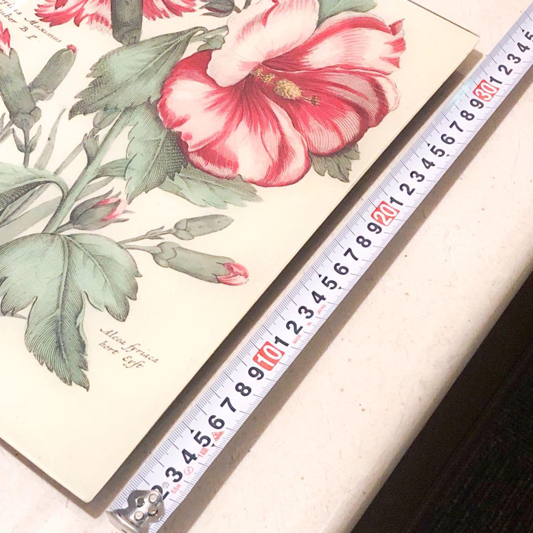 ラージサイズ　JOHN DERIAN ジョンデリアン デコパージュプレート