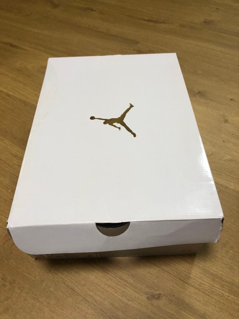 【日本未発売サイズ】Jordan rebel xx top 3 us 11