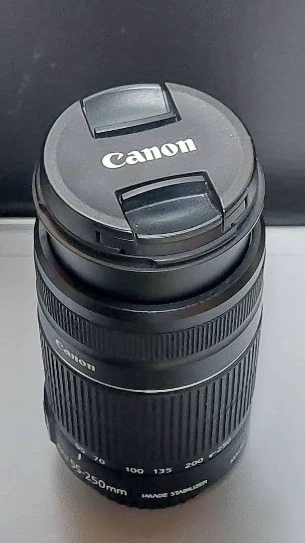 レンズ(ズーム) Canon EF-S 55-250mm F4-5.6 IS II