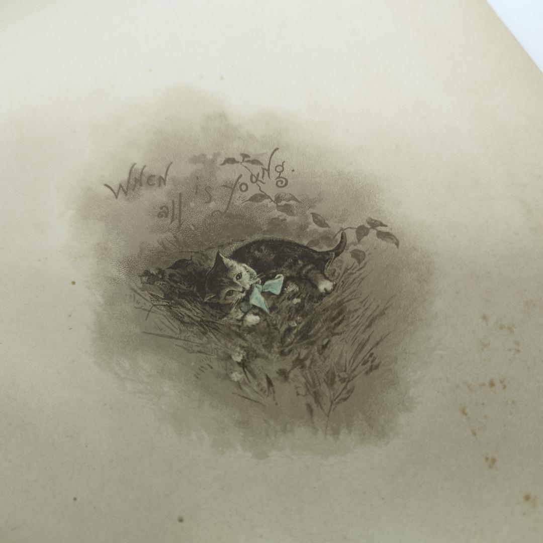 アーネストニスター ハリエットベネット ヴィクトリアン 絵本 海外 超 fT7q