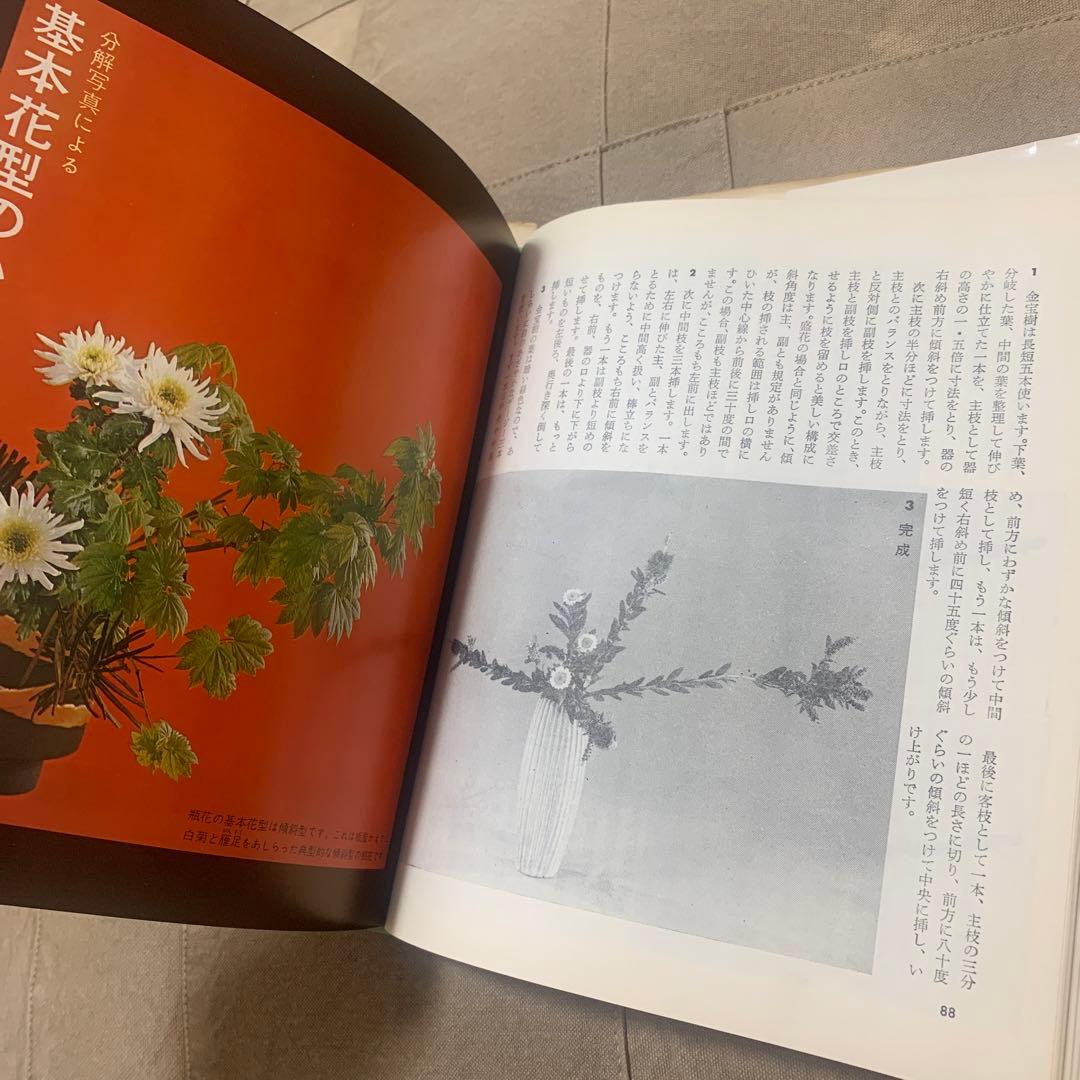 【希少！】小原流いけ花入門―すぐわかる分解写真式