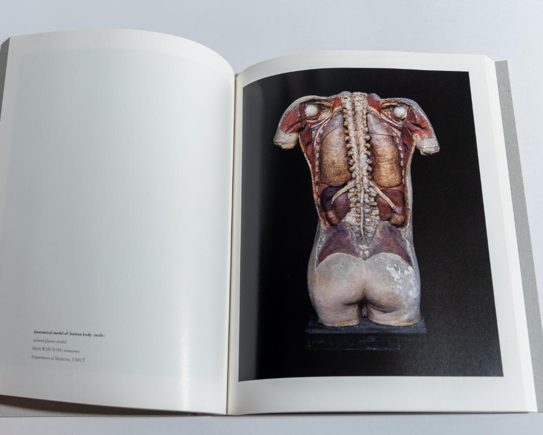 上田義彦「Chamber of Curiosities 」並品