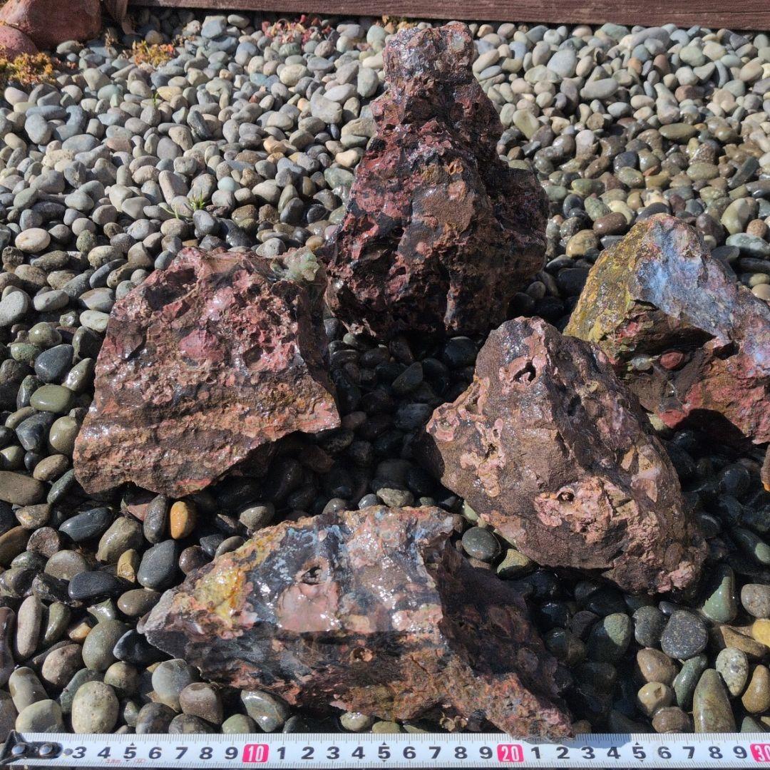 梅花石　セット　4　鑑賞石　石　水槽 アクアリウム　レイアウト　水草