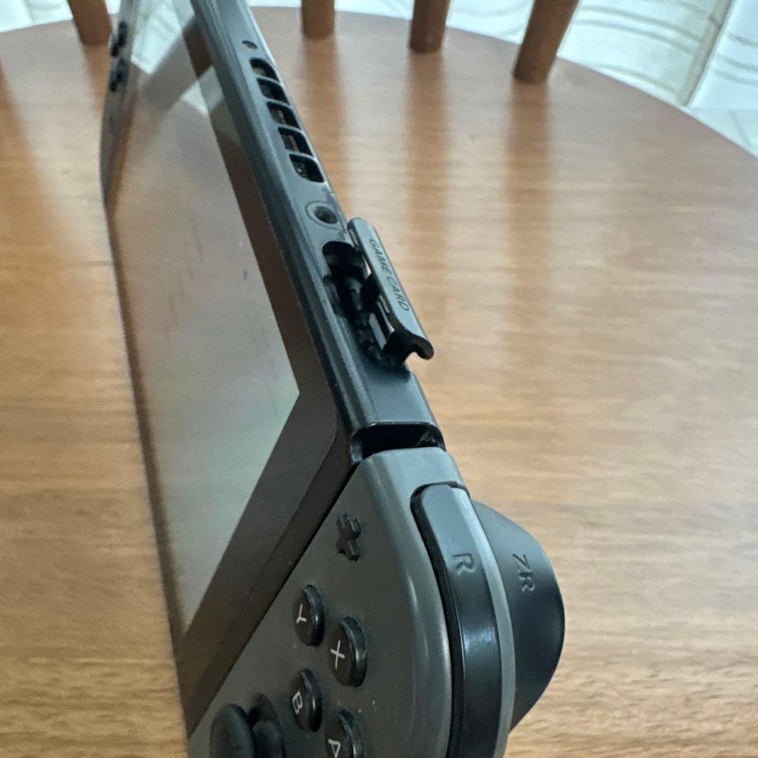 Nintendo Switch Switch lite ケース付き