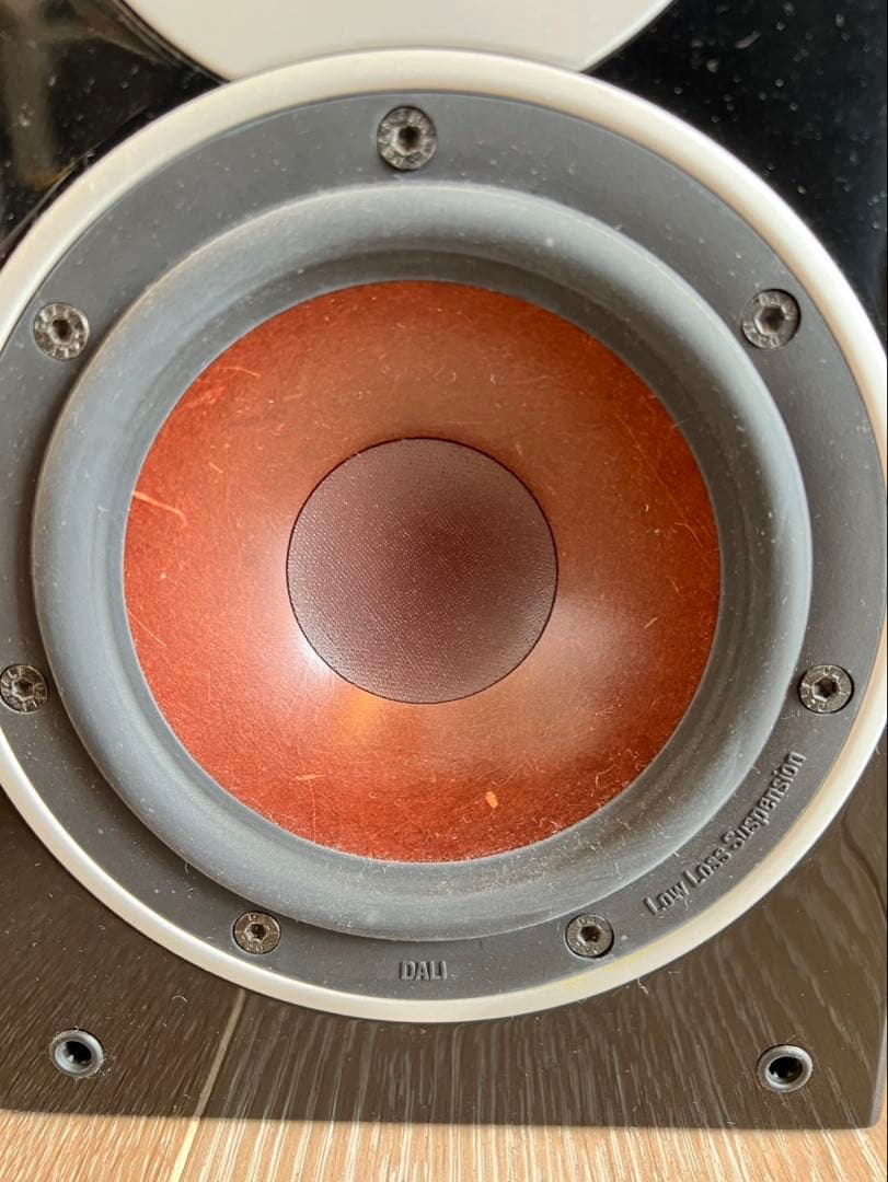 DALI Zensor1 ライトウォルナット2本