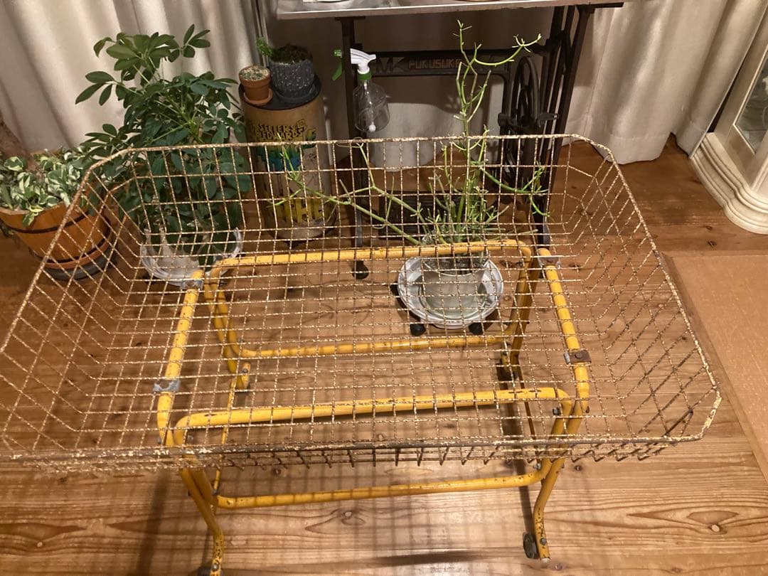 昭和レトロ　ワイヤーワゴン　キャスター付　店舗什器　超シャビージャンクガーデン①