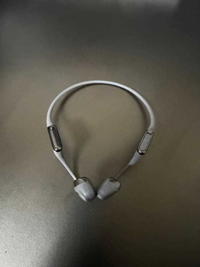 Shokz OpenRun Pro2 標準サイズ