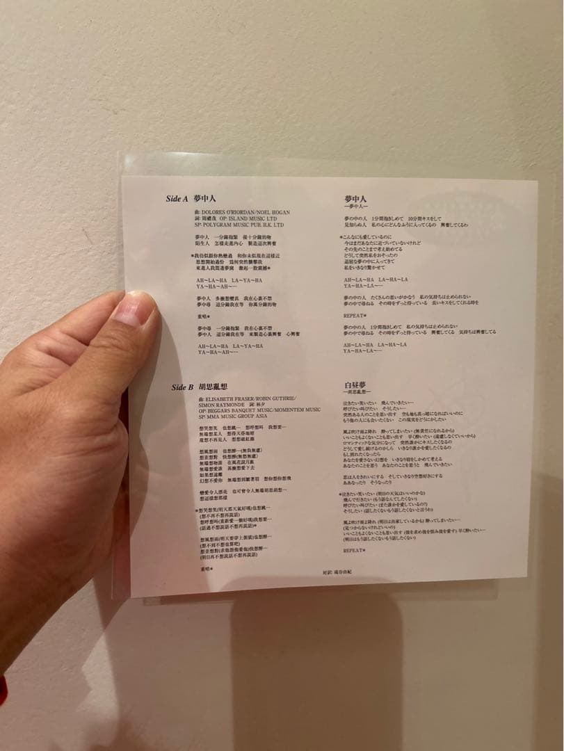 フェイ•ウォン　夢中人　白昼夢　恋する惑星　7インチレコード　新品試聴のみ