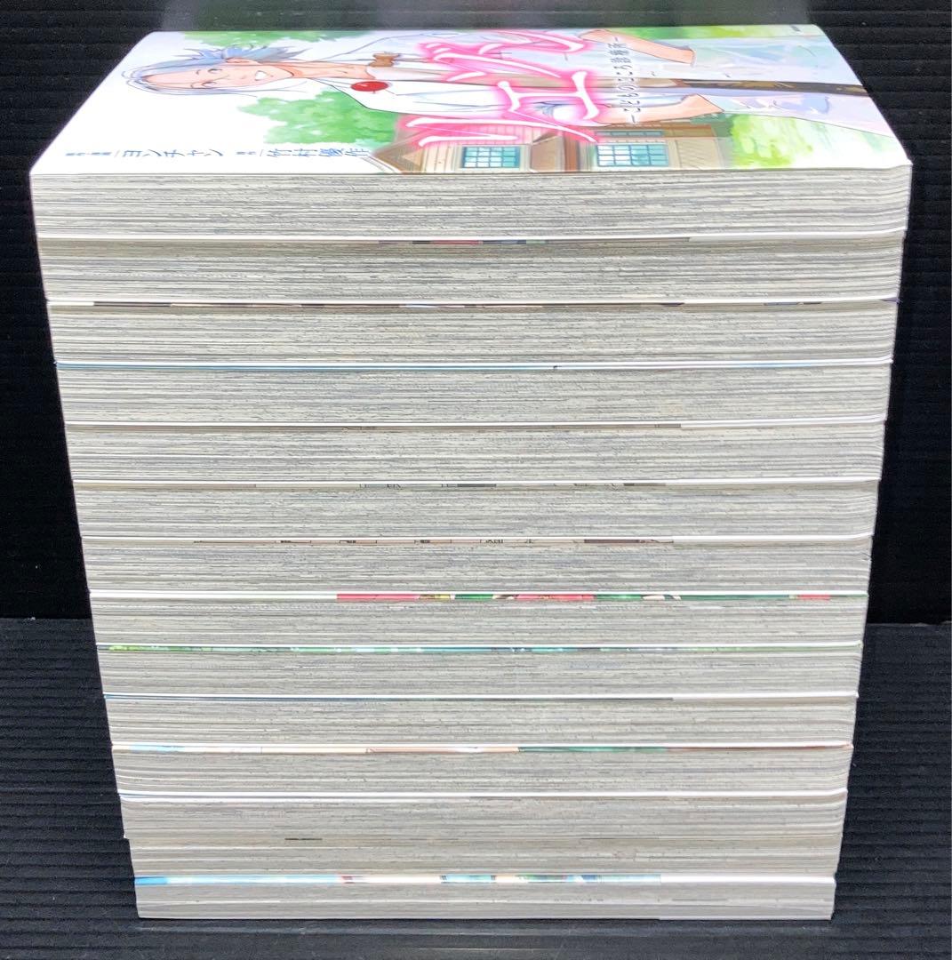 リエゾン 1-14巻