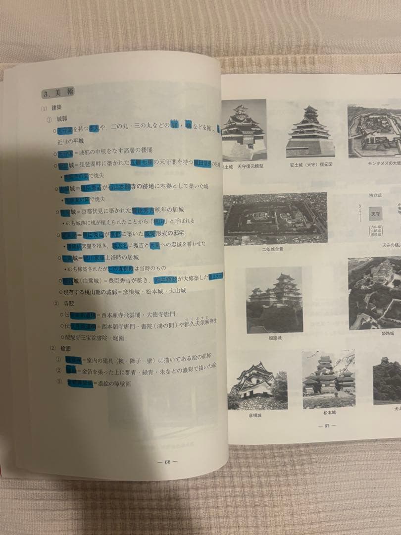 【️お得】鉄緑会 高三日本史セット＋おまけ：駿台　日本文化史(近世・近現代)