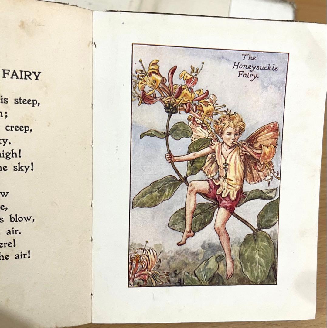 No.261 希少 古書 洋書 絵本 花の妖精    フラワー フェアリーズ
