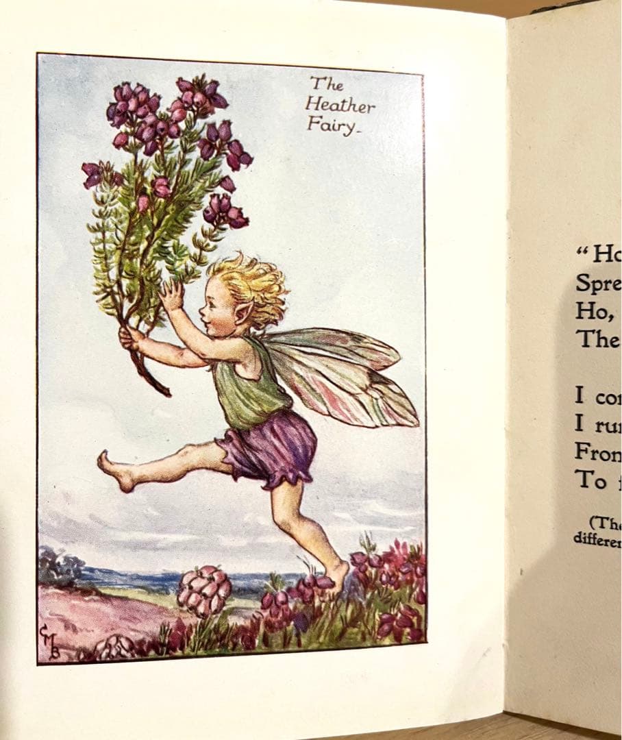 No.261 希少 古書 洋書 絵本 花の妖精    フラワー フェアリーズ