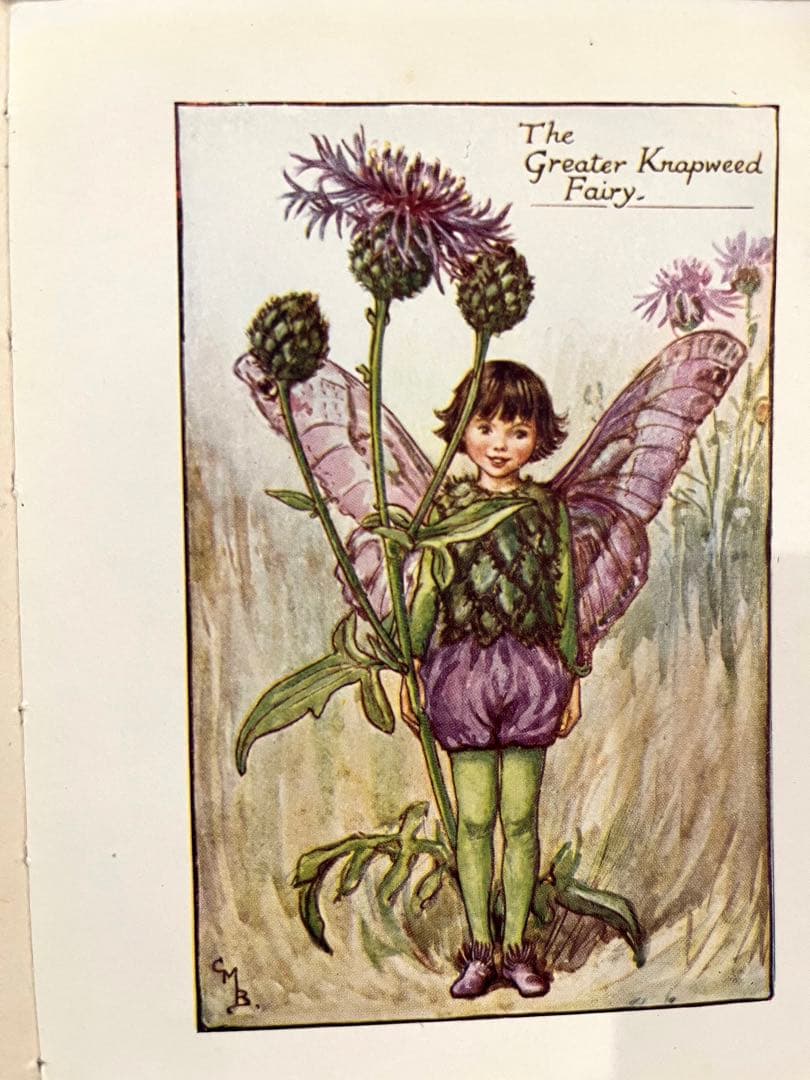 No.261 希少 古書 洋書 絵本 花の妖精    フラワー フェアリーズ