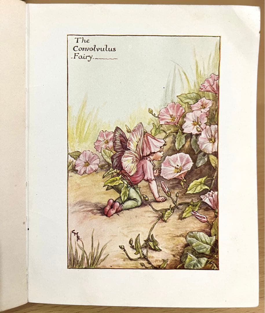 No.261 希少 古書 洋書 絵本 花の妖精    フラワー フェアリーズ