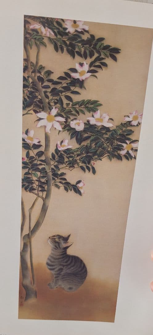 【４５年前に購入】　速水御舟 作品集