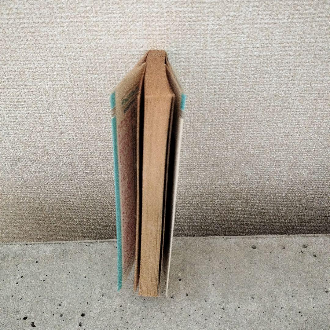 【激レア】ドラゴンボール DRAGON BALL 第19巻 初版 第1刷 鳥山明