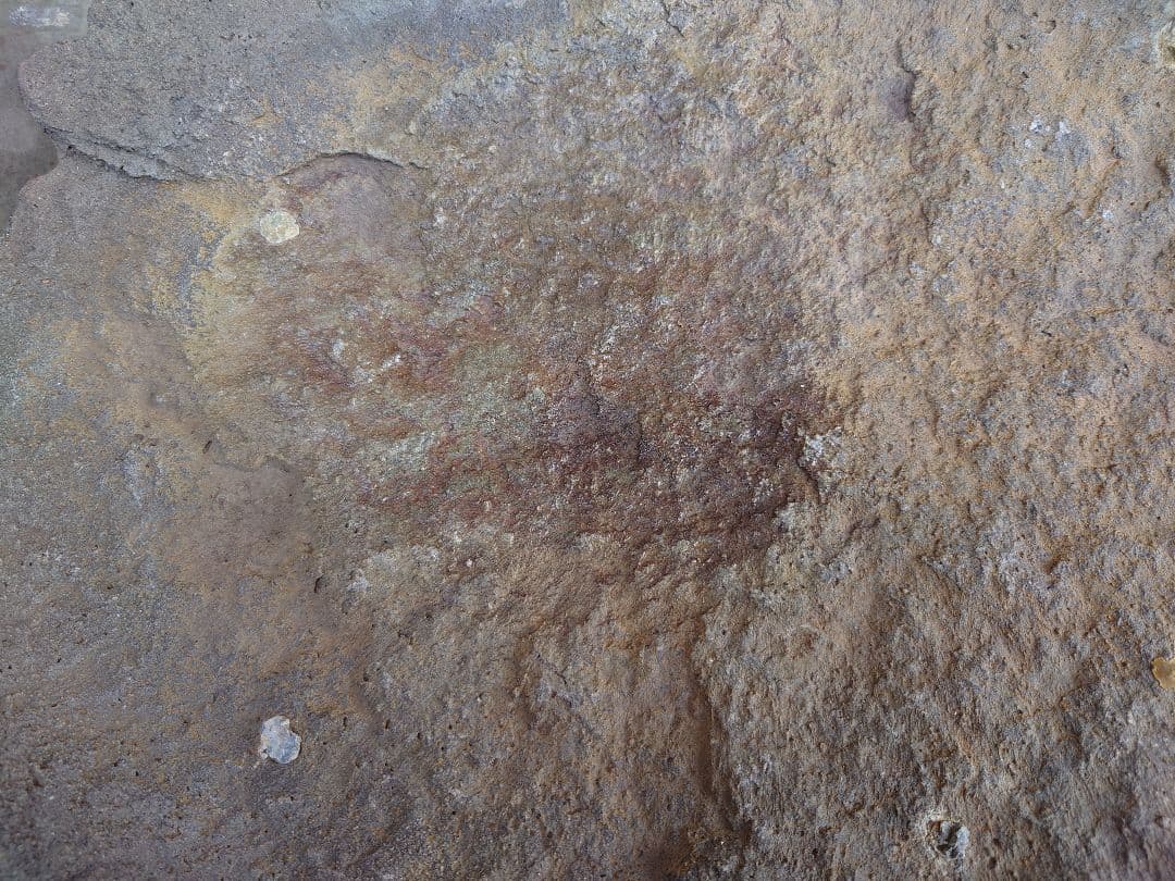 盆栽　鉢　鞍馬石？　平石　幅55.5cm