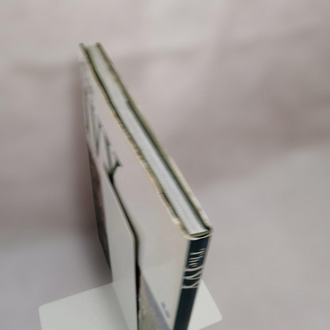 【希少】The IVY TERUYOSHI HAYASHIDA サイン入り