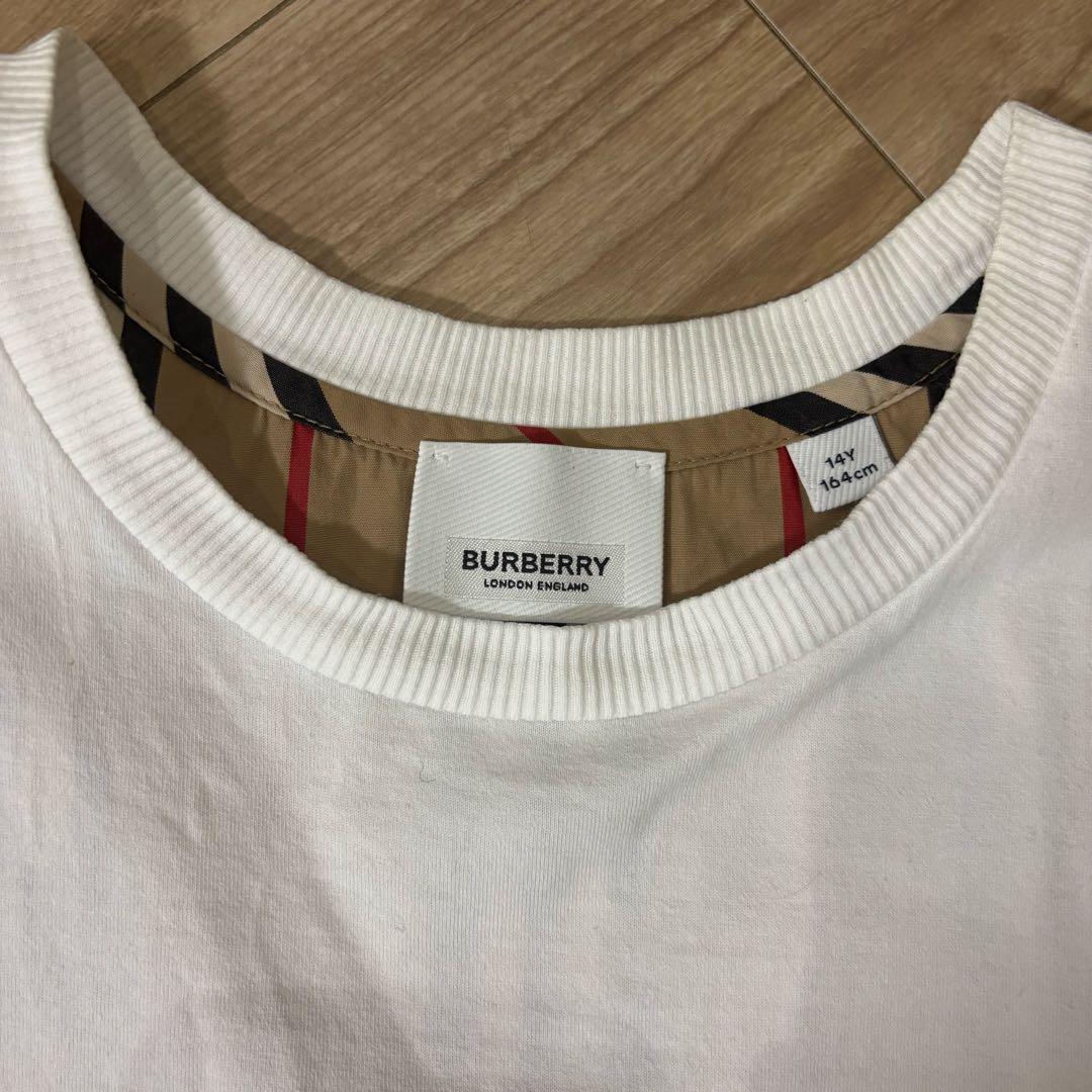 バーバリー　160 ストライプ　Tシャツ