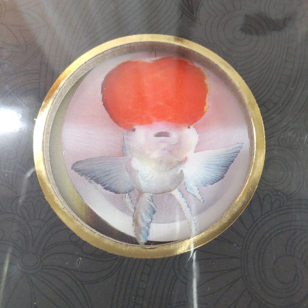 【未開封新品】シュリンク有　中国金魚図鑑・専門書