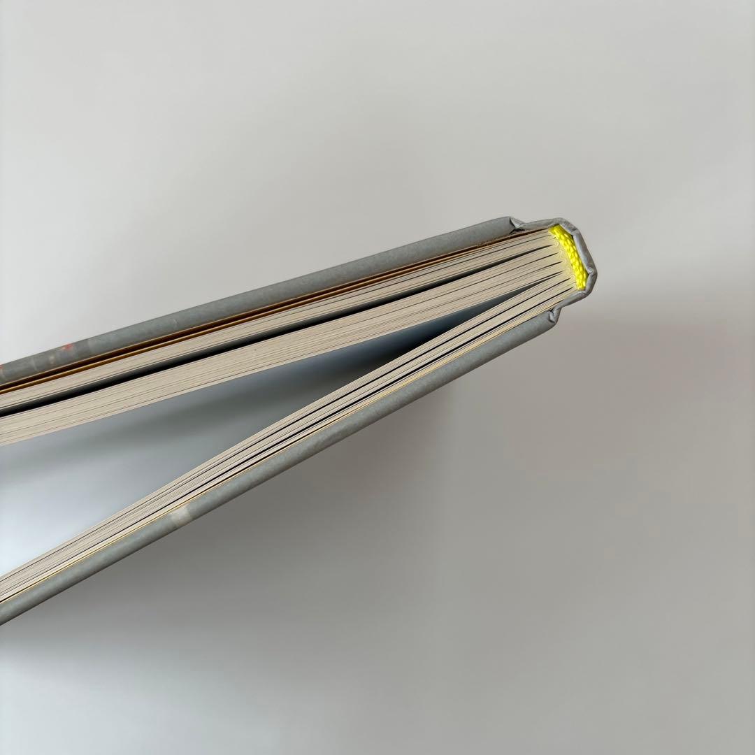 洋書 neon tigers / Peter Bialobrzeski