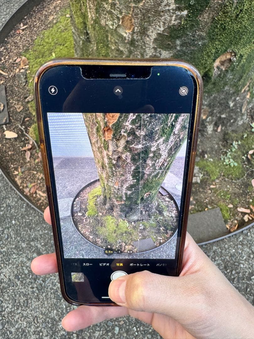 iPhone 12 Pro シルバー 本体　256G