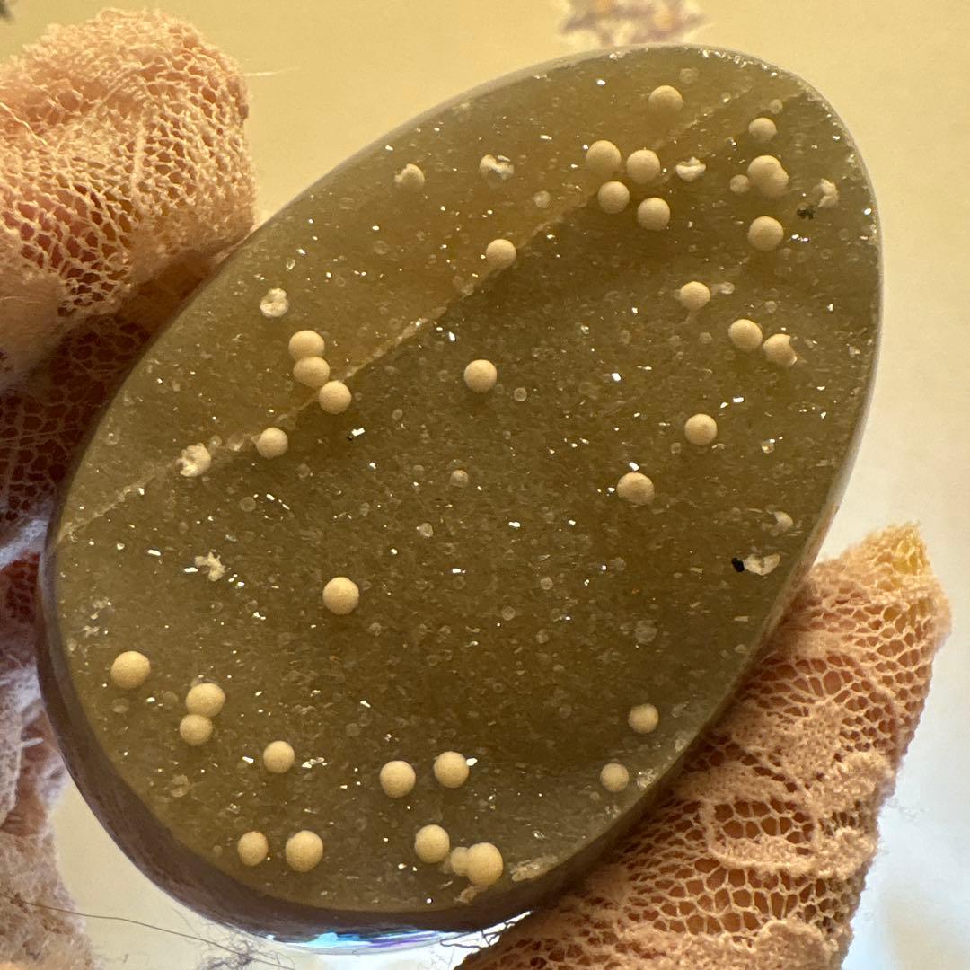 アメジストたまごちゃんオールカット♡♡スノーボール共生♡♡No.1971