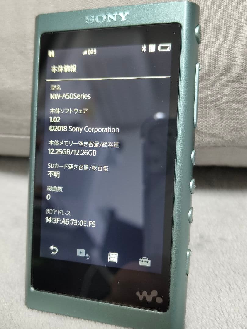 美品！SONY ソニー WALKMAN NW-A55 ホライズングリーン