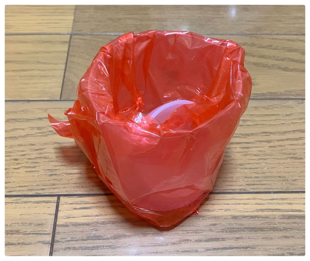 未使用品 steamfast スチームクリーナー