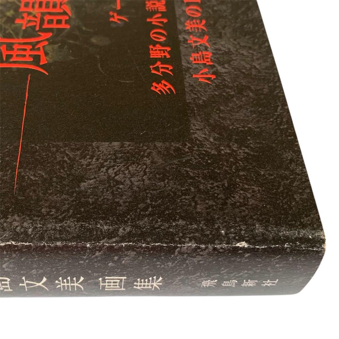 Santa Lilio Sangre緋いユリ : 小島文美画集