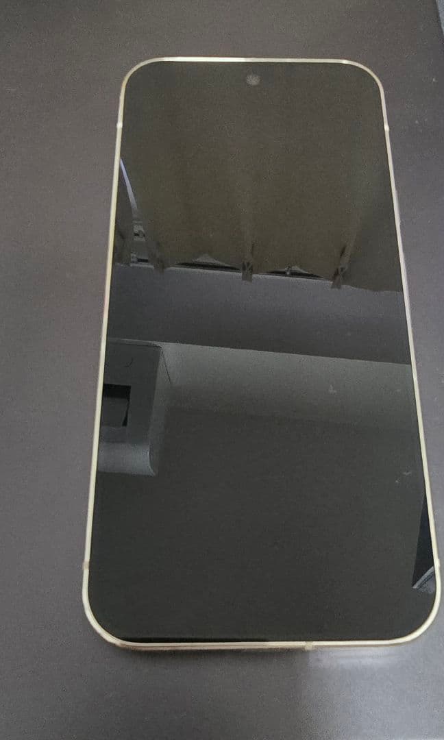 Google Pixel 9 Pro porcelain 白