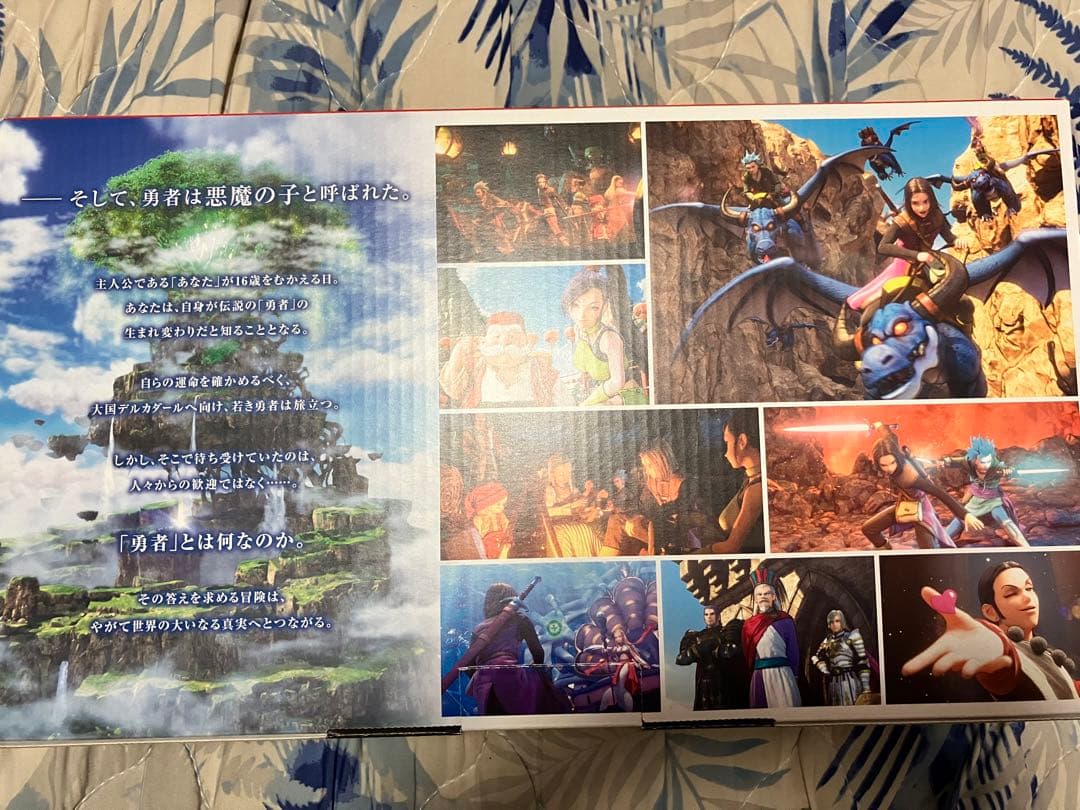 レアNintendo Switch ロトエディション　クリアケース装備★☆美品◎