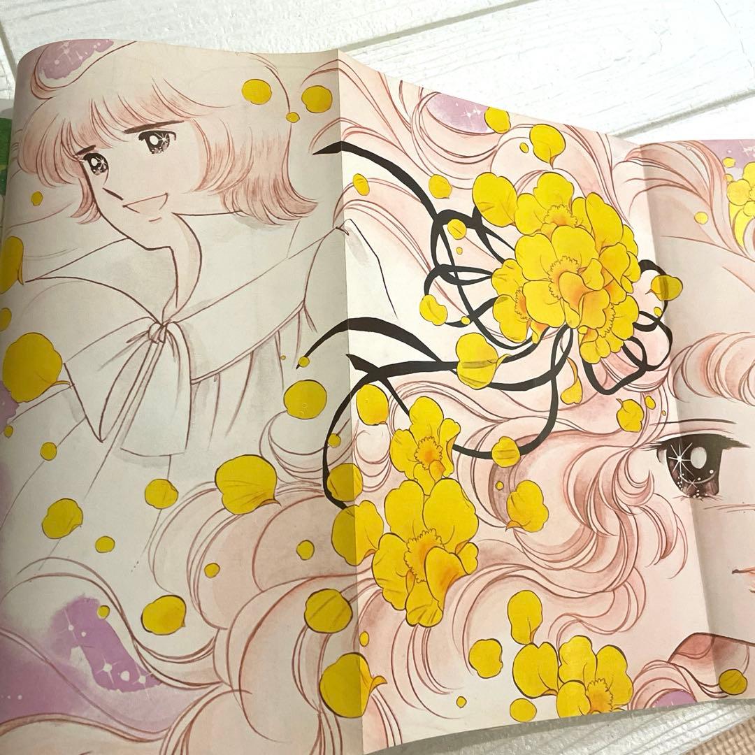 【貴重！初版本】キャンディ♡キャンディ 愛蔵版 全2巻 ＆ イラスト集