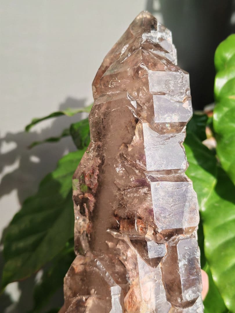 稀少　スモーキージャカレー水晶　ワニ水晶　骸骨水晶　原石　置物　天然石　標本