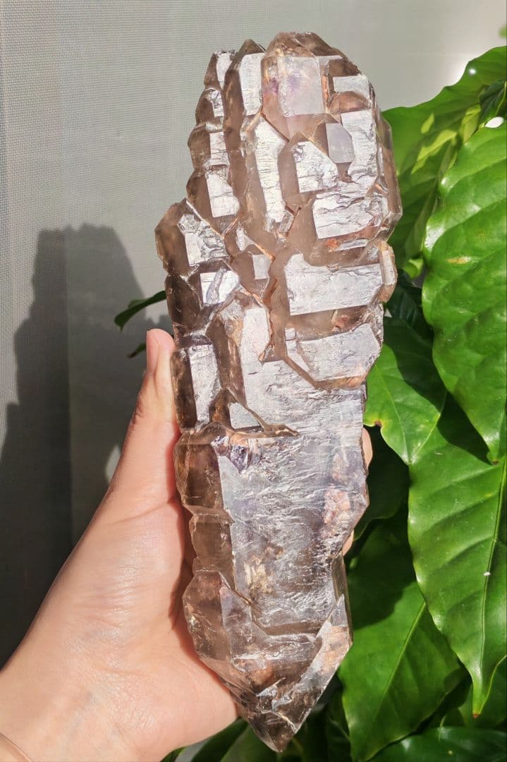 稀少　スモーキージャカレー水晶　ワニ水晶　骸骨水晶　原石　置物　天然石　標本