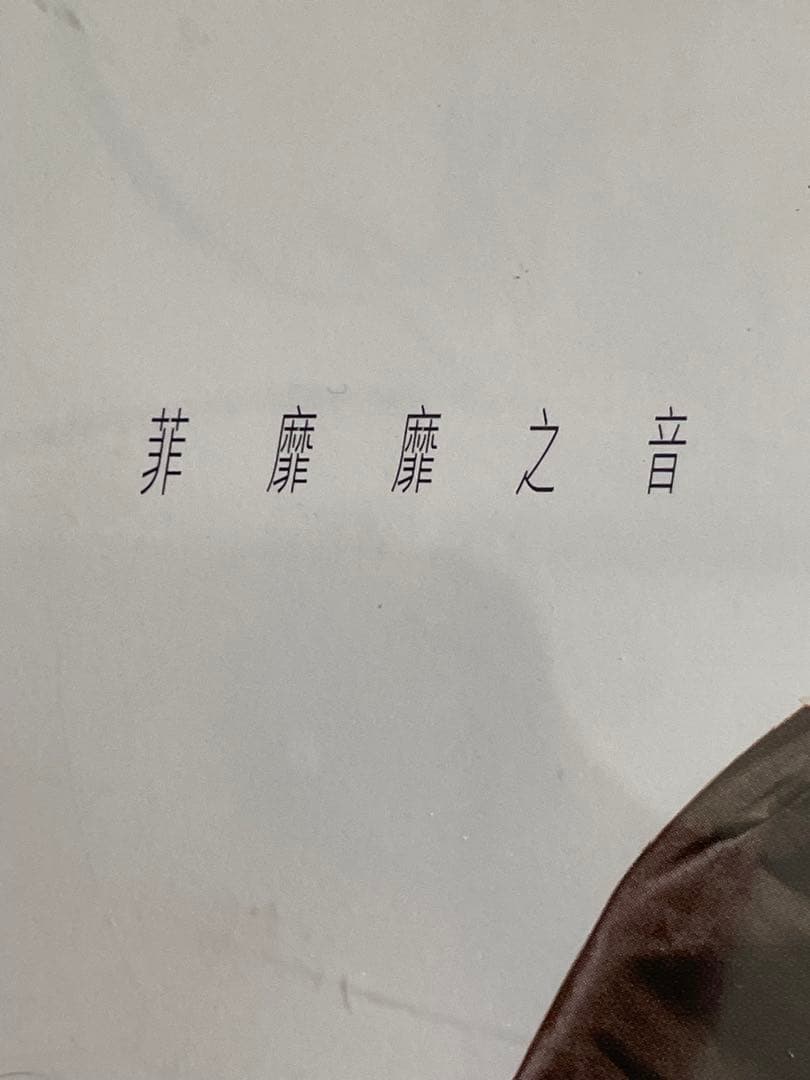見本盤フェイ•ウォン王靖雯/マイ•フェイヴァリット非靡靡之音 /95年日本盤帯付