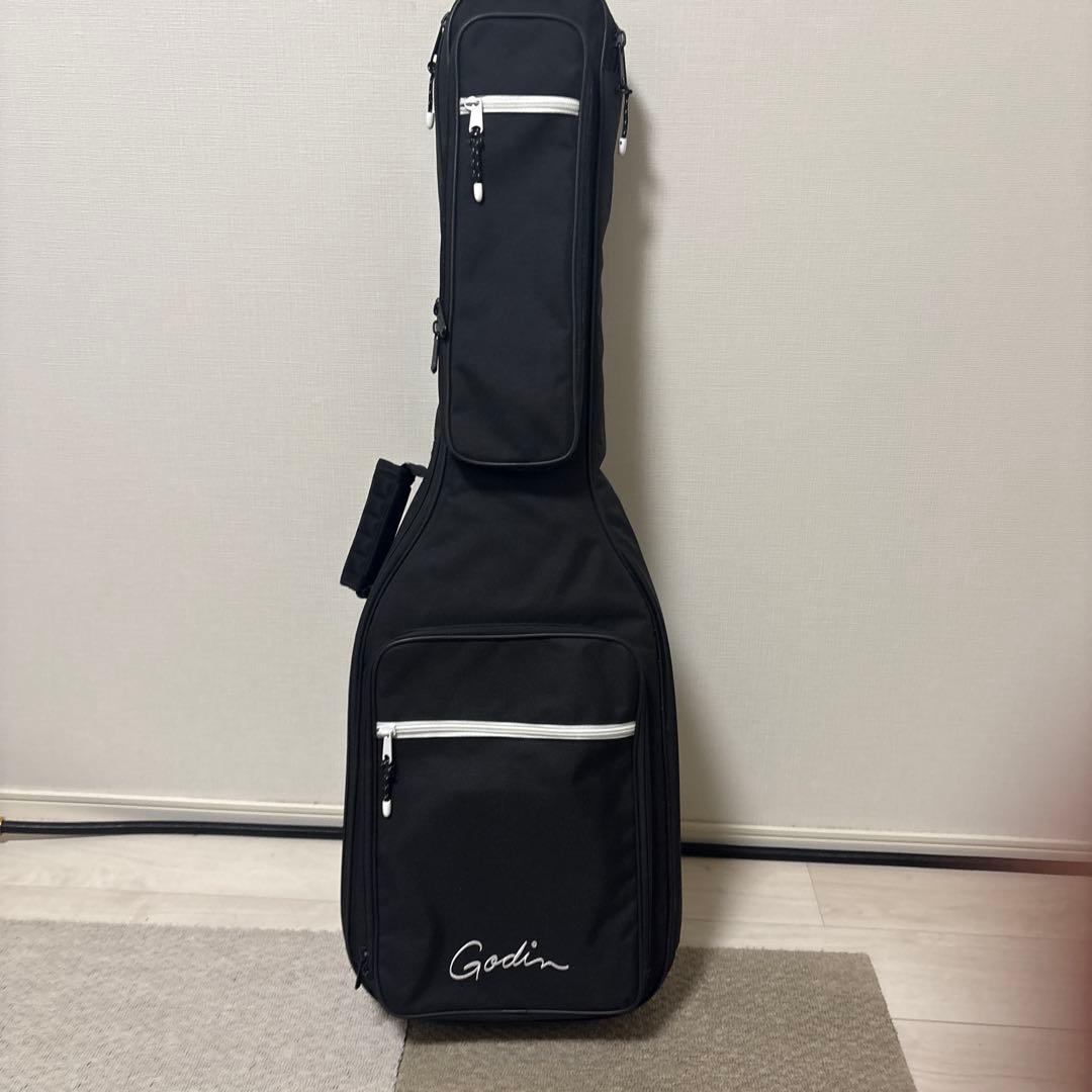 Godin Radium エレキギター