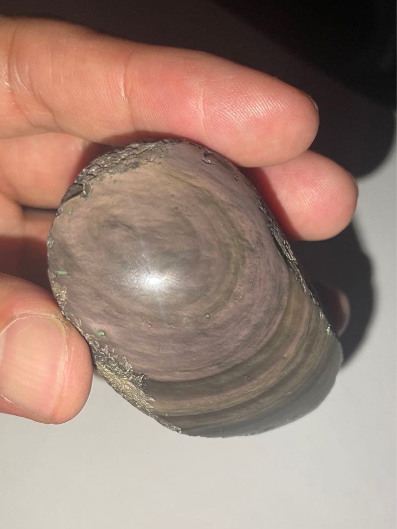 研磨品　十勝石玲瓏　ピンク、イエロー　レインボーオブシディアン