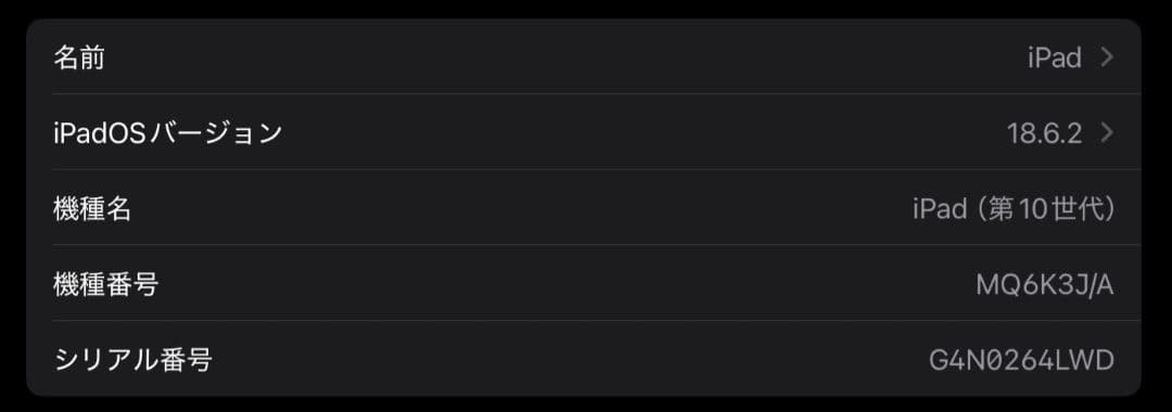 iPad 第10世代 64GB セルラー SIMフリー ブルー 美品