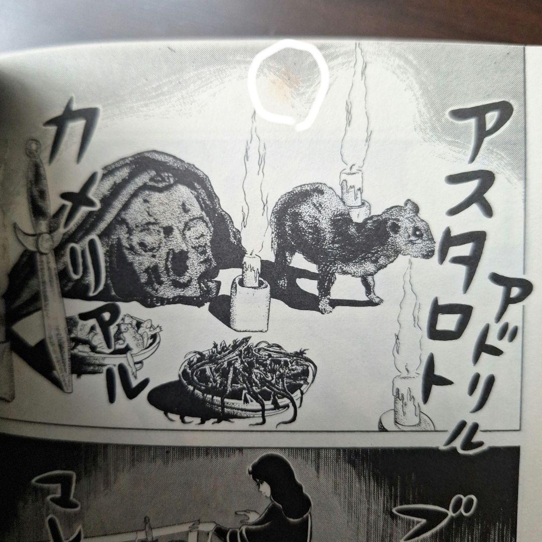 エコエコアザラク全19巻と魔女黒井ミサ　計20冊(12冊初版)　古賀新一さん