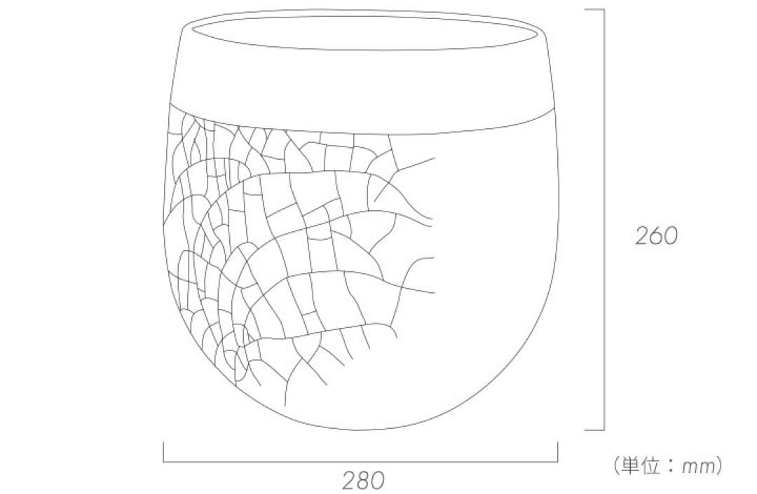 DOMANI MINSK パールホワイト　TMBH26