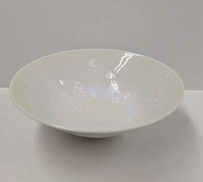 茶道具　雪華紋茶碗　森本宋永作　綺麗な平茶碗です