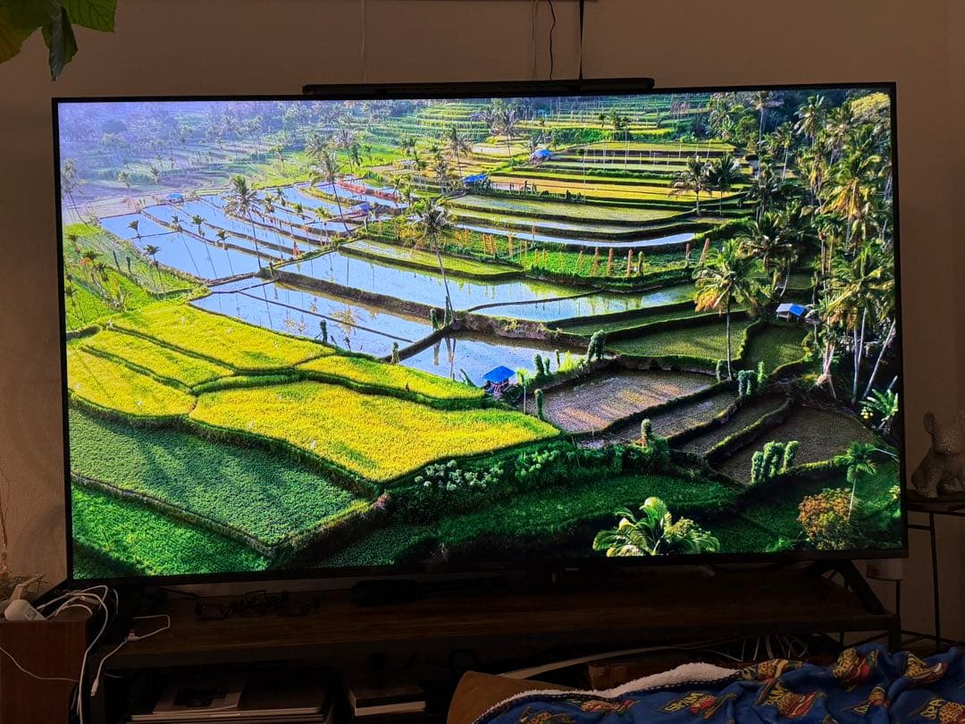 神奈川引取大歓迎TH-75LX800 液晶テレビ リモコン付き