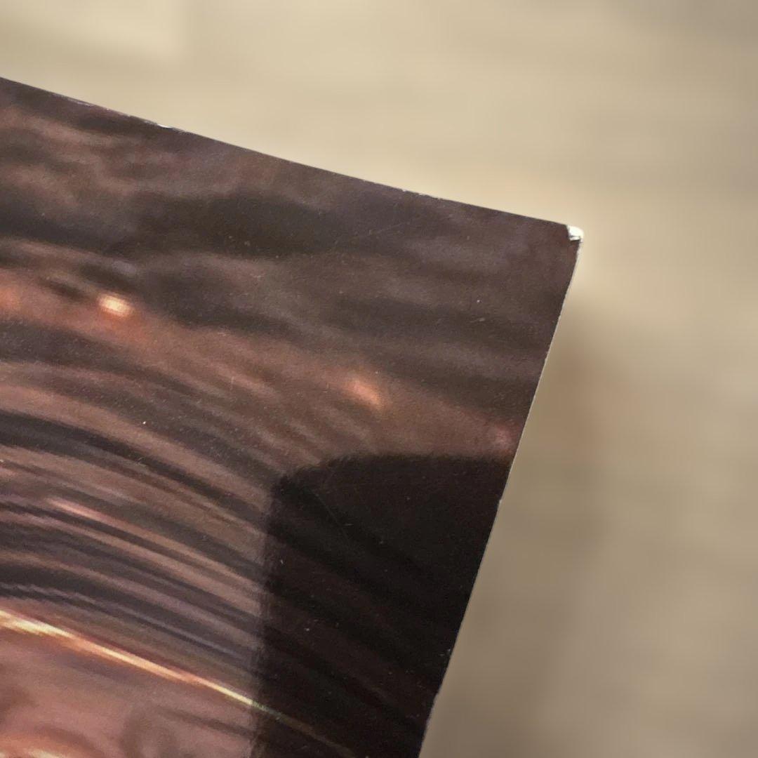 Gosha Rubchinskiy transfiguration 写真集