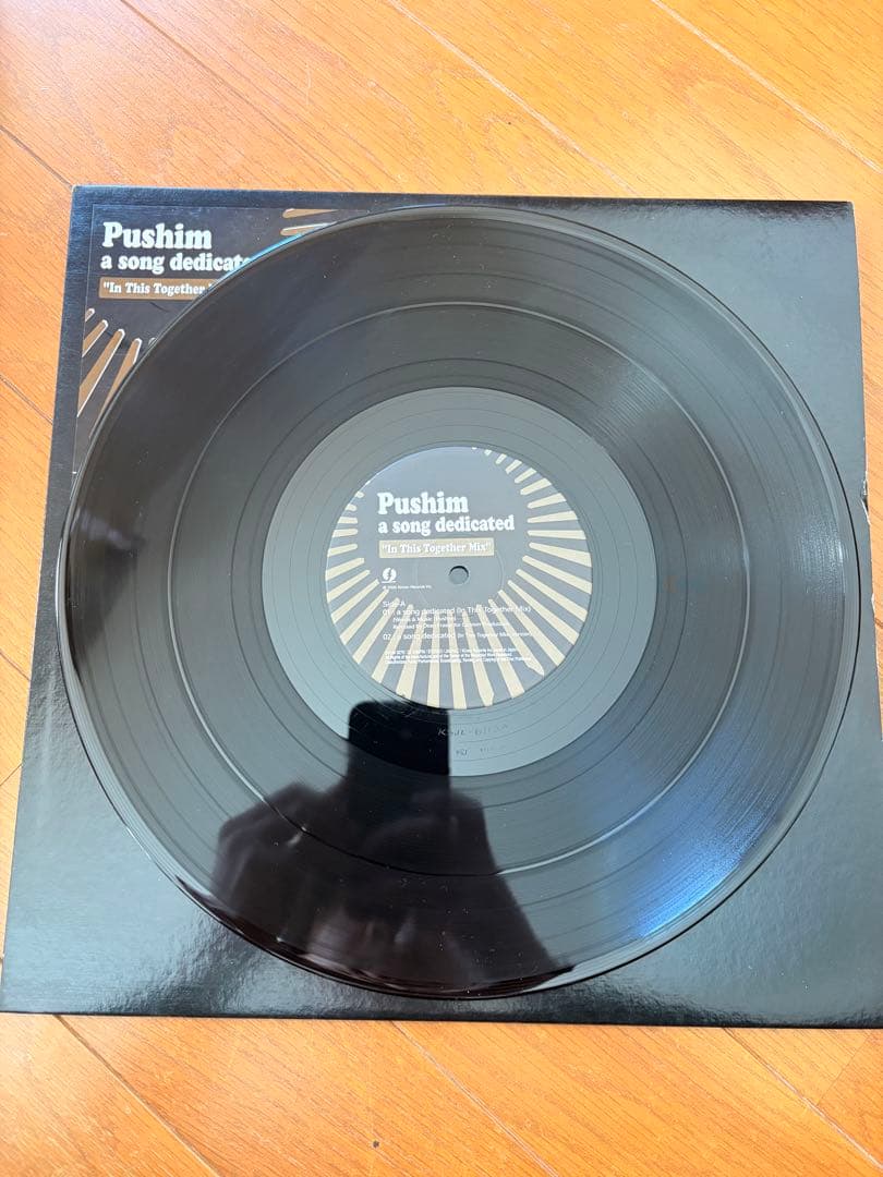 【美品レア盤】Pushim/ a song dedicated