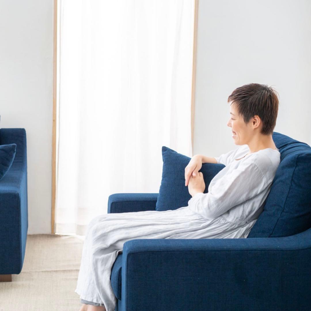 NOYES New Sugar Hi-Back 1人がけ グレー